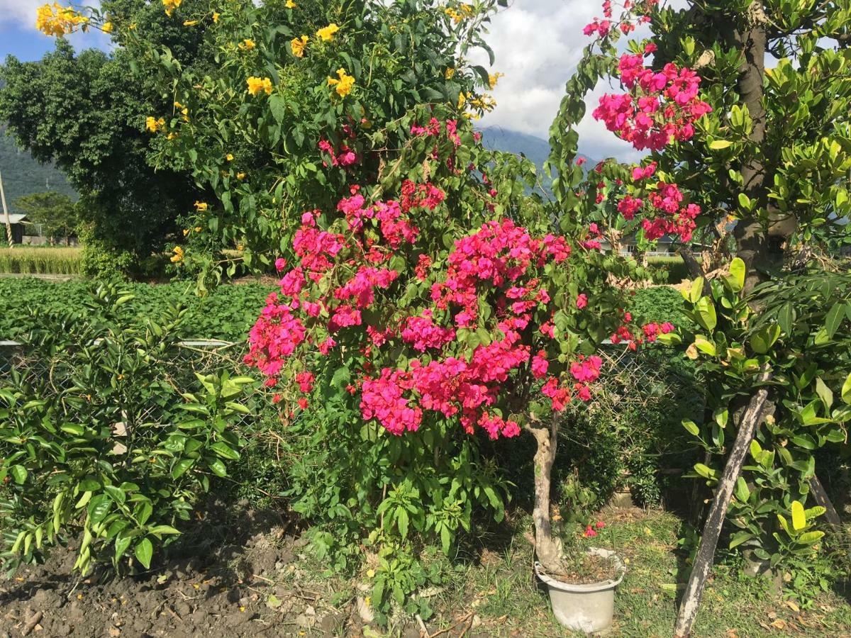 Bo Jue Farm Stay جيان المظهر الخارجي الصورة